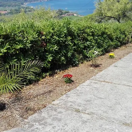 Isola D'elba Portion Of With Garden Sea View Holiday home *